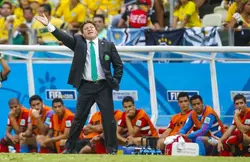 Coupe du monde Brésil 2014 - Herrera : « Sur quatre matches, on a eu trois arbitrages désastreux »
