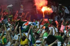 Coupe du monde Brésil 2014 : 29 interpellations en France après Allemagne-Algérie
