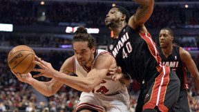 Basket - NBA : Haslem reste au Heat