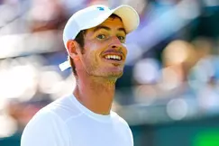 Tennis - Coupe Davis : Andy Murray envoie un message avant la confrontation contre la France !