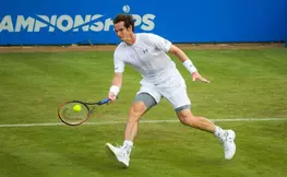 Tennis - Coupe Davis : Le pronostic d’Arnaud Clément sur Andy Murray !
