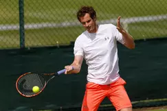 Tennis - Wimbledon : Andy Murray a demandé des conseils à… Sir Alex Ferguson !