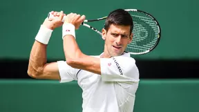 Insolite - Tennis : Quand Djokovic évoque l’oiseau qui a perturbé son match !