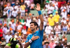 Tennis : Quand Novak Djokovic déclare sa flamme à la petite «balle jaune» !