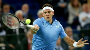 Tennis : Del Potro revient sur sa victoire face à Karlovic !