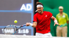 Tennis : David Ferrer annonce la couleur pour 2017 !