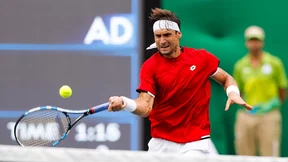 Tennis : David Ferrer annonce la couleur pour 2017 !