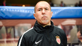 Mercato - Arsenal : «Arsenal devrait regarder Leonardo Jardim…»