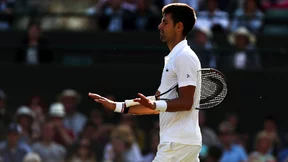 Tennis : Les vérités de Stepanek sur sa collaboration avec Djokovic