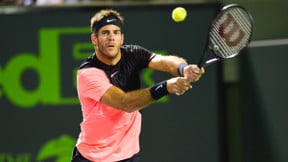 Tennis : Del Potro dévoile sa stratégie pour Roland-Garros