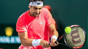 Tennis : David Ferrer fait une grande annonce sur son avenir