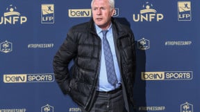 PSG : Ce témoignage fort sur le rôle de Luis Fernandez !