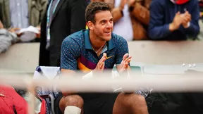 Tennis : Federer, Nadal, Djokovic, Murray...  Del Potro évoque la domination du «Big Four»