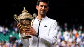Tennis : «Djokovic est comme un homme en caoutchouc»