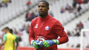 LOSC : «On pourrait très bien retrouver Maignan en équipe de France…»