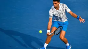 Tennis : «Nadal est le seul à pouvoir battre Djokovic à l’US Open»