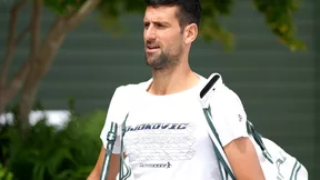 Tennis : Alcaraz lui a fait mal, Djokovic n'a pas peur