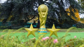 Foot : Un champion du monde français frappé par une maladie : «C'est un peu honteux»