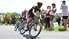 Alaphilippe «comme un con», la gaffe à la télévision 