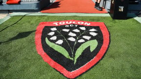 Le RC Toulon proche de l'exploit, les gros regrets en Champions Cup...