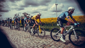 Cyclisme : Des coureurs malades à cause de bouses de vache ? 